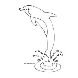 着色页: 海豚 (动物) #5101 - 免费可打印着色页