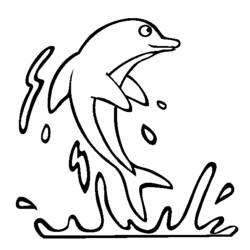 着色页: 海豚 (动物) #5103 - 免费可打印着色页