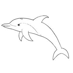 着色页: 海豚 (动物) #5114 - 免费可打印着色页