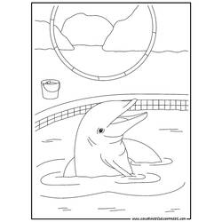 着色页: 海豚 (动物) #5122 - 免费可打印着色页