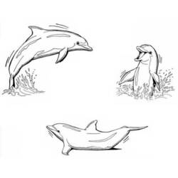 着色页: 海豚 (动物) #5126 - 免费可打印着色页
