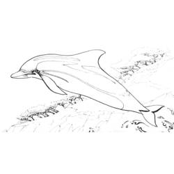 着色页: 海豚 (动物) #5140 - 免费可打印着色页