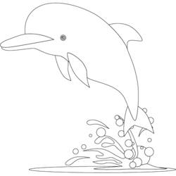 着色页: 海豚 (动物) #5143 - 免费可打印着色页