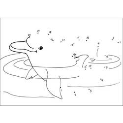 着色页: 海豚 (动物) #5149 - 免费可打印着色页