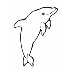 着色页: 海豚 (动物) #5151 - 免费可打印着色页
