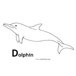 着色页: 海豚 (动物) #5157 - 免费可打印着色页