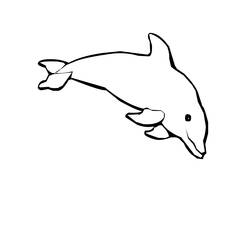 着色页: 海豚 (动物) #5161 - 免费可打印着色页