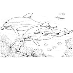 着色页: 海豚 (动物) #5168 - 免费可打印着色页