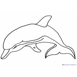 着色页: 海豚 (动物) #5186 - 免费可打印着色页