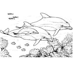 着色页: 海豚 (动物) #5195 - 免费可打印着色页
