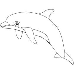 着色页: 海豚 (动物) #5206 - 免费可打印着色页
