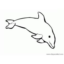 着色页: 海豚 (动物) #5209 - 免费可打印着色页