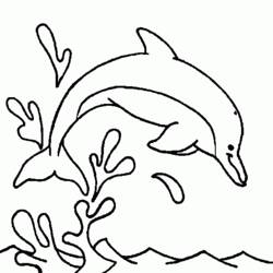着色页: 海豚 (动物) #5212 - 免费可打印着色页