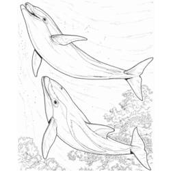 着色页: 海豚 (动物) #5216 - 免费可打印着色页