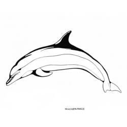 着色页: 海豚 (动物) #5220 - 免费可打印着色页