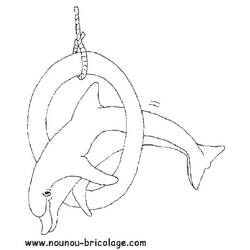 着色页: 海豚 (动物) #5233 - 免费可打印着色页