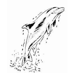 着色页: 海豚 (动物) #5246 - 免费可打印着色页