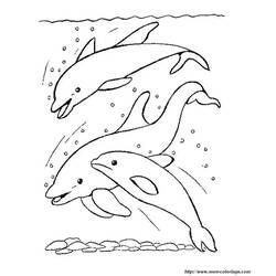 着色页: 海豚 (动物) #5251 - 免费可打印着色页