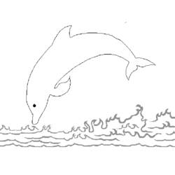 着色页: 海豚 (动物) #5278 - 免费可打印着色页