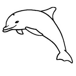 着色页: 海豚 (动物) #5283 - 免费可打印着色页