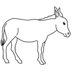 着色页: 驴 (动物) #477 - 免费可打印着色页