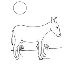 着色页: 驴 (动物) #482 - 免费可打印着色页