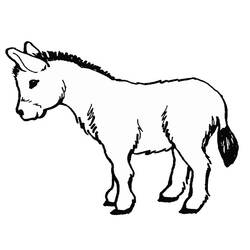 着色页: 驴 (动物) #484 - 免费可打印着色页