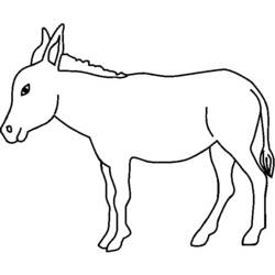 着色页: 驴 (动物) #497 - 免费可打印着色页