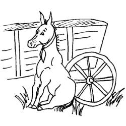 着色页: 驴 (动物) #506 - 免费可打印着色页
