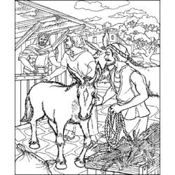 着色页: 驴 (动物) #534 - 免费可打印着色页
