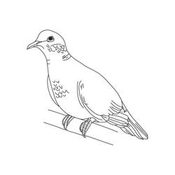 着色页: 鸽子 (动物) #3903 - 免费可打印着色页
