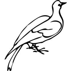 着色页: 鸽子 (动物) #3910 - 免费可打印着色页
