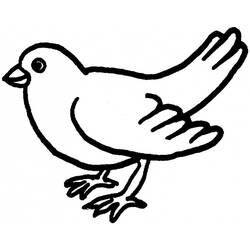 着色页: 鸽子 (动物) #3959 - 免费可打印着色页