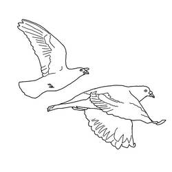 着色页: 鸽子 (动物) #3965 - 免费可打印着色页
