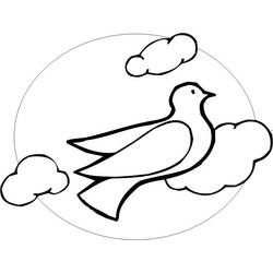 着色页: 鸽子 (动物) #3972 - 免费可打印着色页