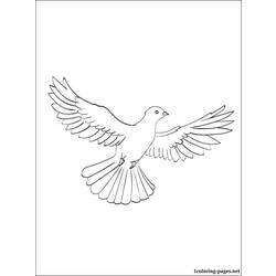 着色页: 鸽子 (动物) #4008 - 免费可打印着色页