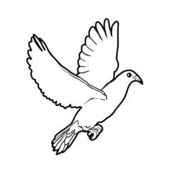 着色页: 鸽子 (动物) #4011 - 免费可打印着色页