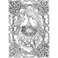 着色页: 鸽子 (动物) #4021 - 免费可打印着色页