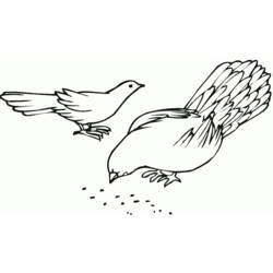 着色页: 鸽子 (动物) #4050 - 免费可打印着色页