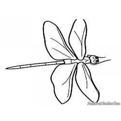 着色页: 蜻蜓 (动物) #10002 - 免费可打印着色页