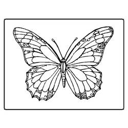 着色页: 蜻蜓 (动物) #10016 - 免费可打印着色页