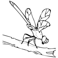 着色页: 蜻蜓 (动物) #10035 - 免费可打印着色页