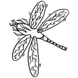 着色页: 蜻蜓 (动物) #10036 - 免费可打印着色页
