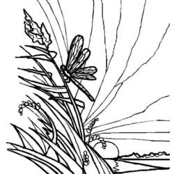 着色页: 蜻蜓 (动物) #10039 - 免费可打印着色页