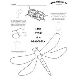 着色页: 蜻蜓 (动物) #10052 - 免费可打印着色页