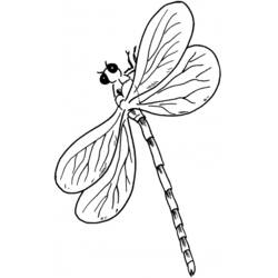 着色页: 蜻蜓 (动物) #10061 - 免费可打印着色页