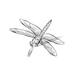 着色页: 蜻蜓 (动物) #10067 - 免费可打印着色页
