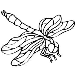 着色页: 蜻蜓 (动物) #9881 - 免费可打印着色页