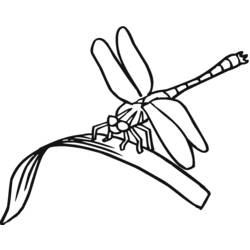 着色页: 蜻蜓 (动物) #9888 - 免费可打印着色页