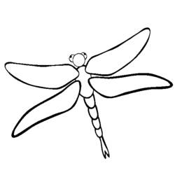 着色页: 蜻蜓 (动物) #9906 - 免费可打印着色页